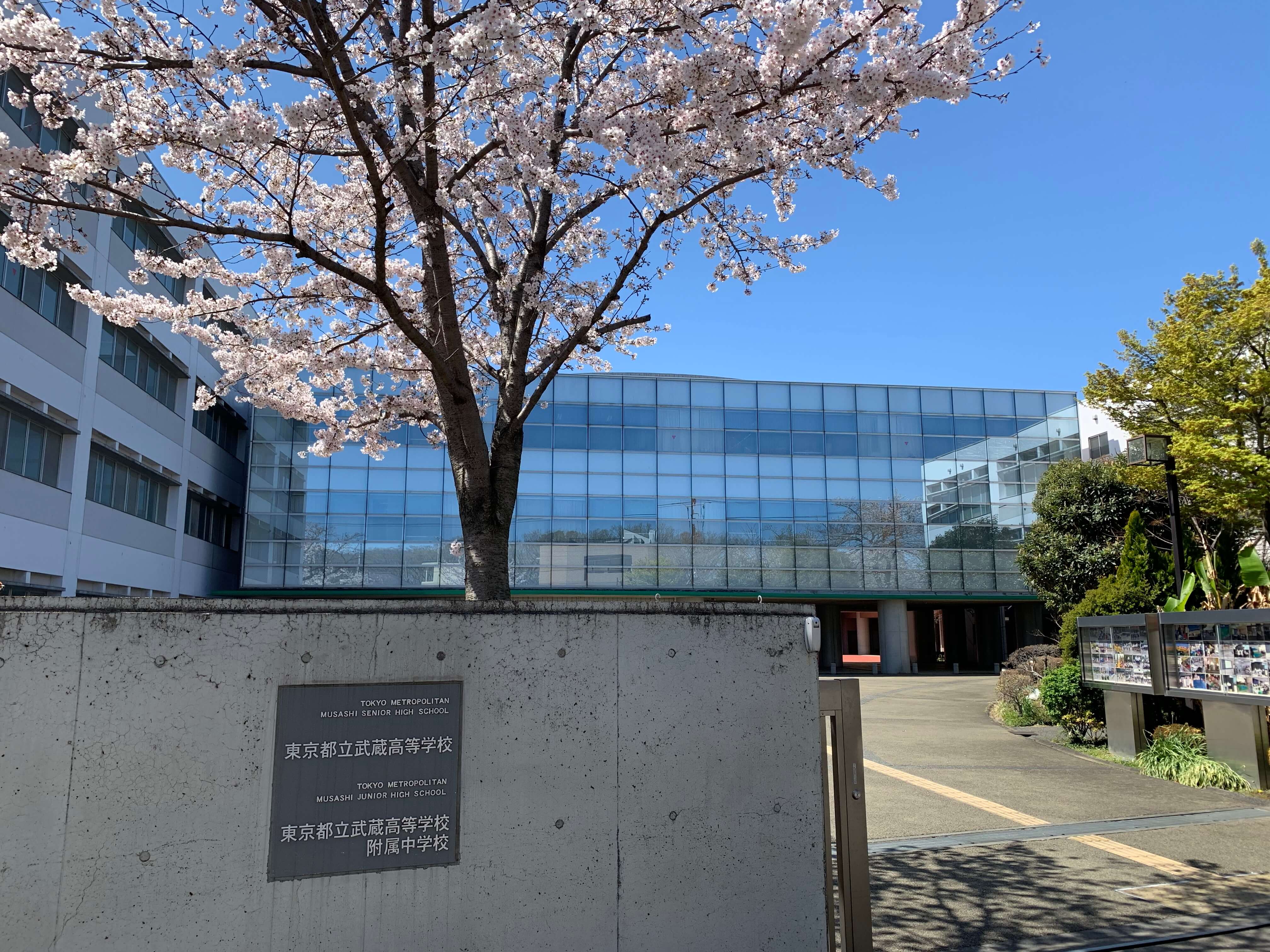 東京 都立 武蔵 高等 学校 附属 中学校