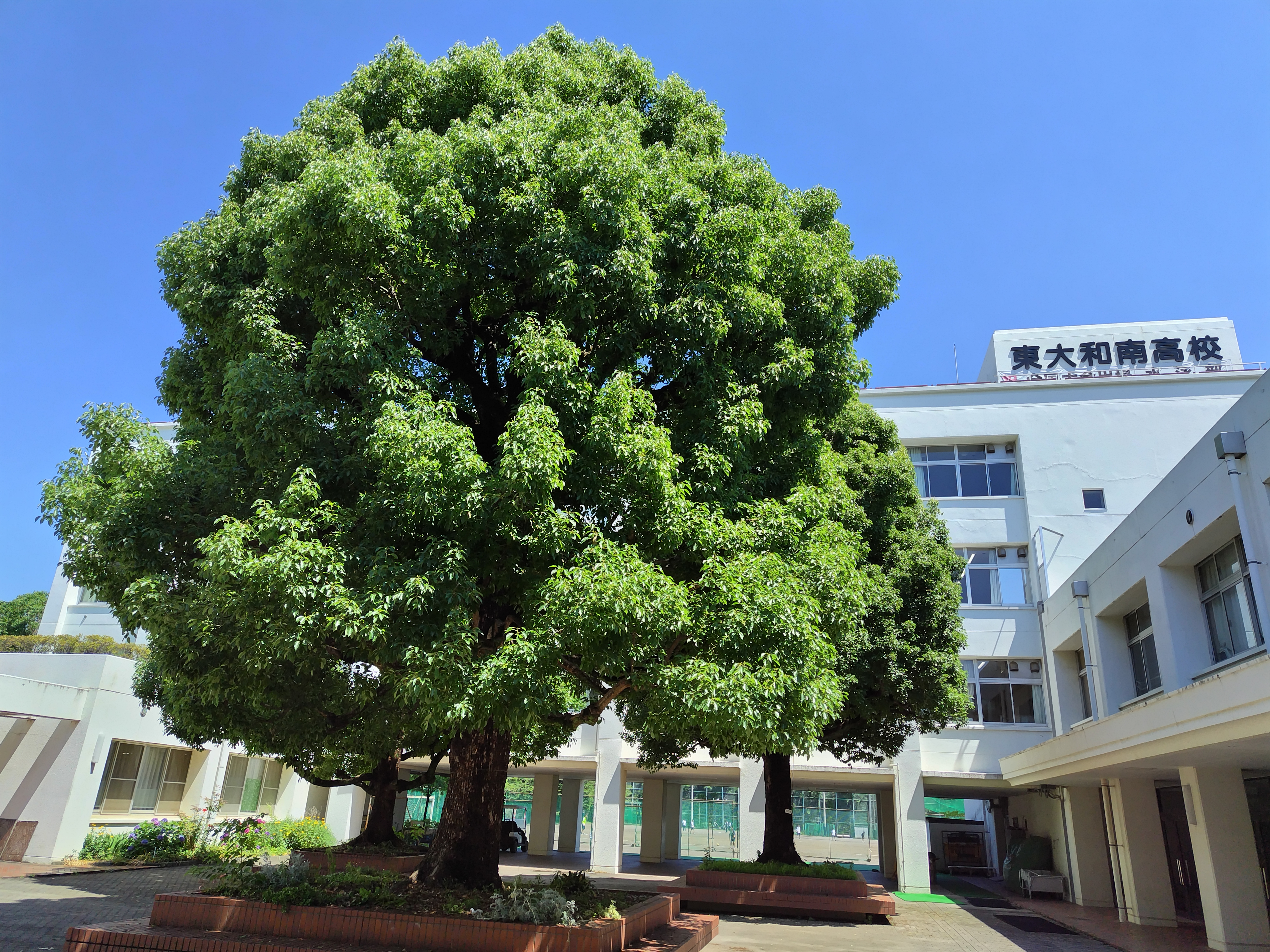 東大和南高等学校の紹介画像_01
