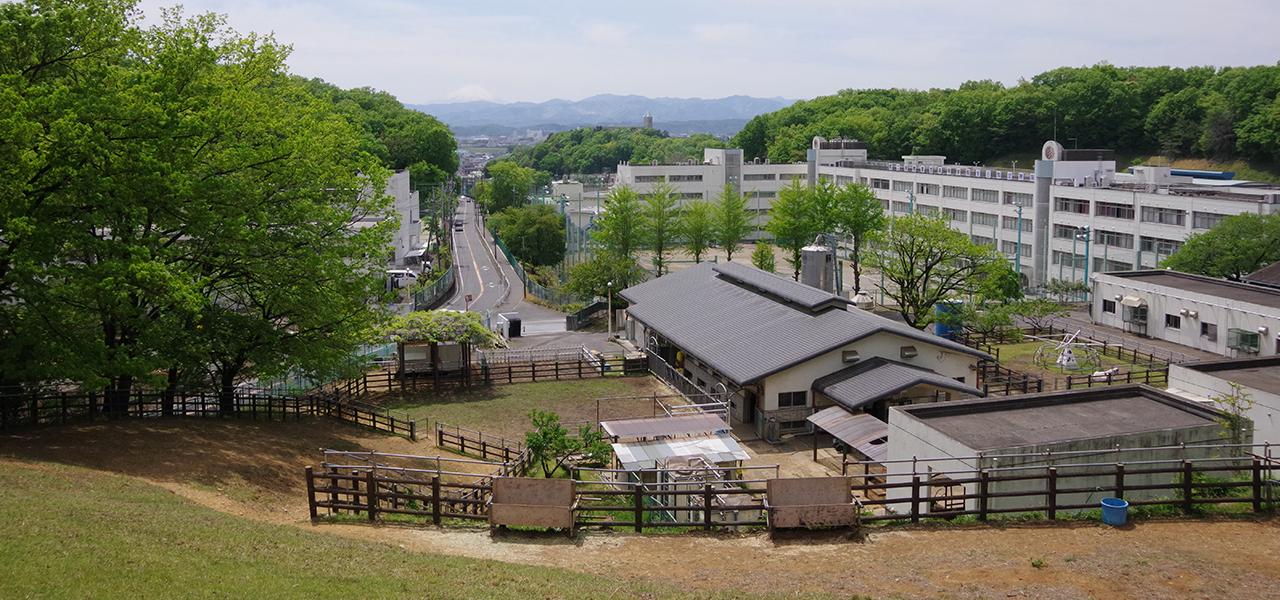 瑞穂農芸高等学校の外観