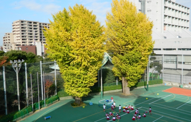 上野高等学校の紹介画像_02
