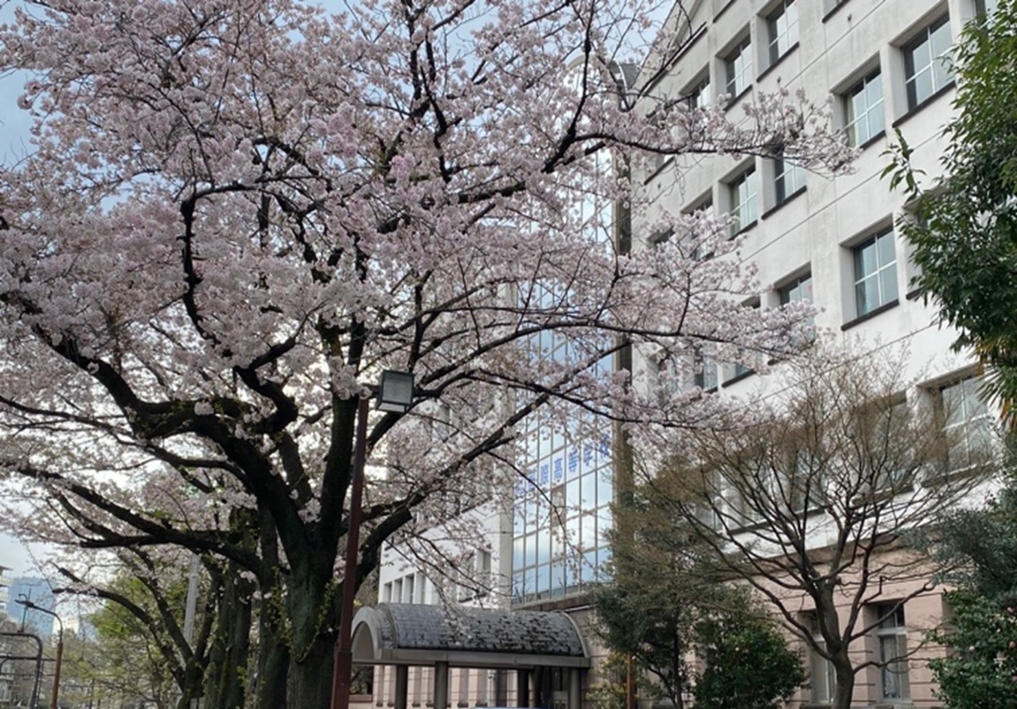 国際高等学校の外観