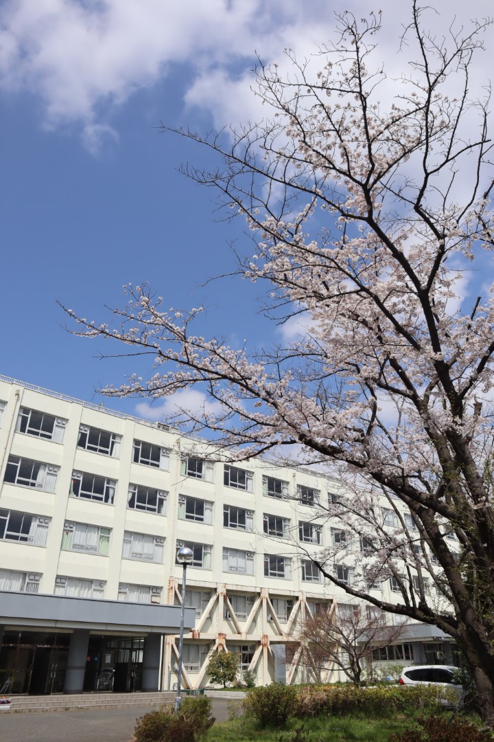 狛江高等学校の外観