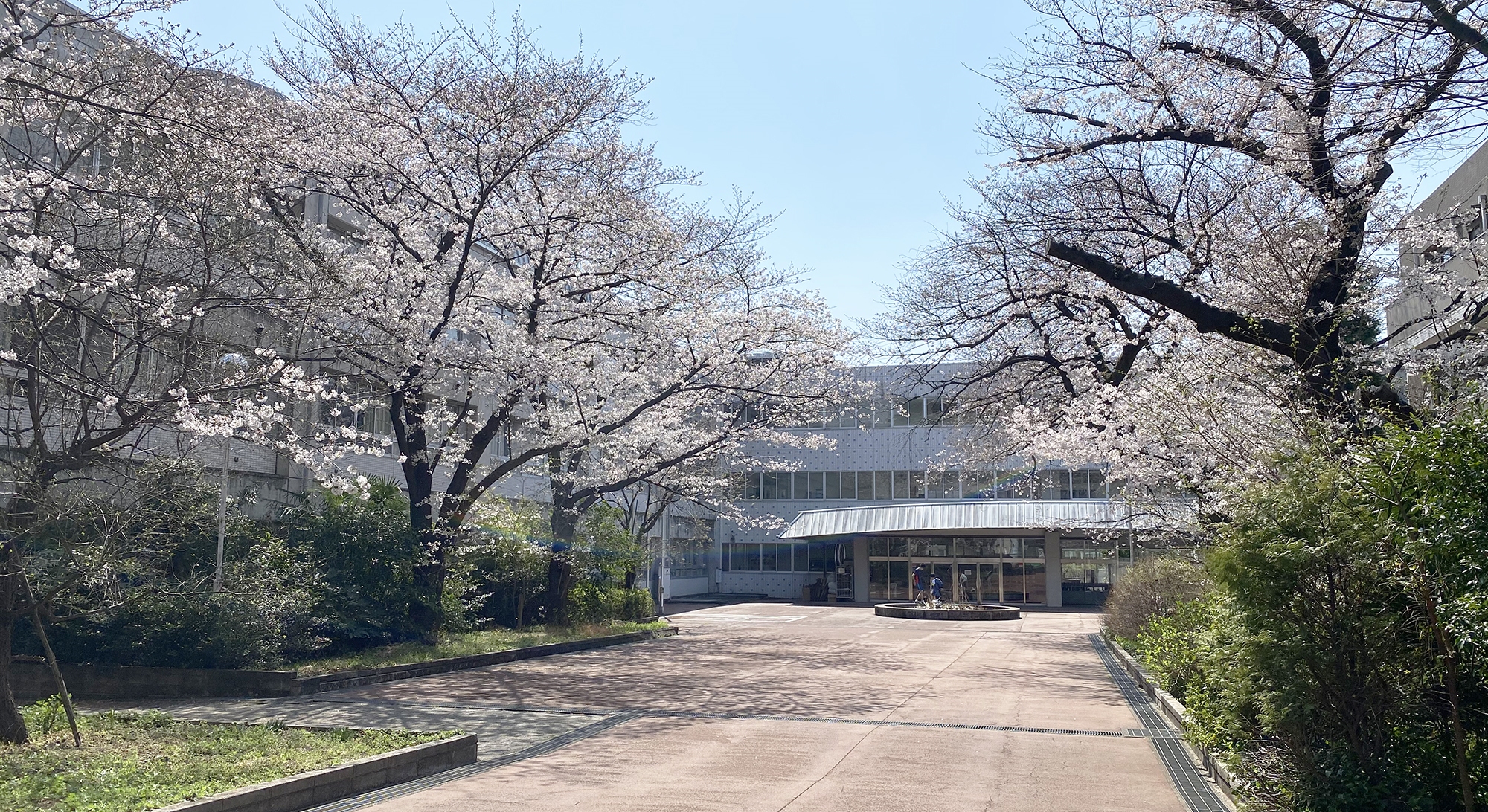 西高等学校の外観