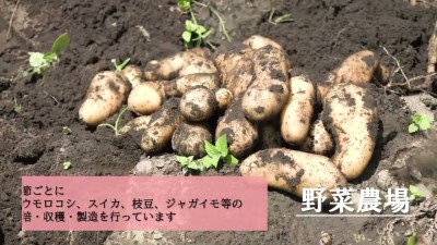 大島高校　施設紹介