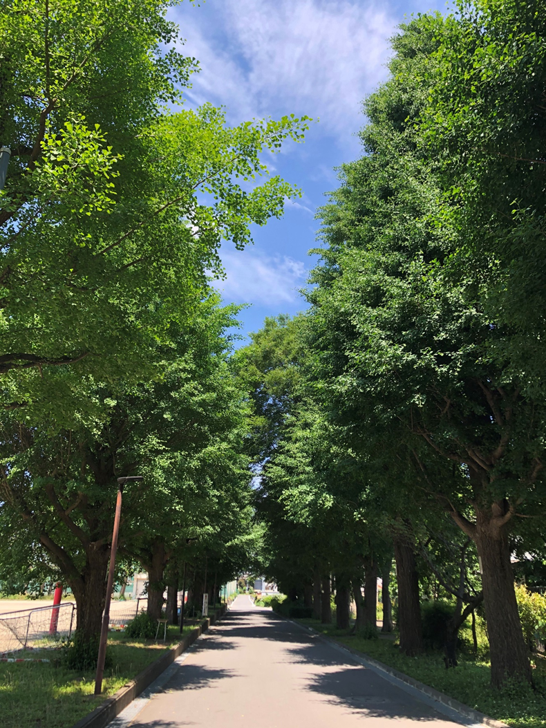 豊多摩高等学校の外観