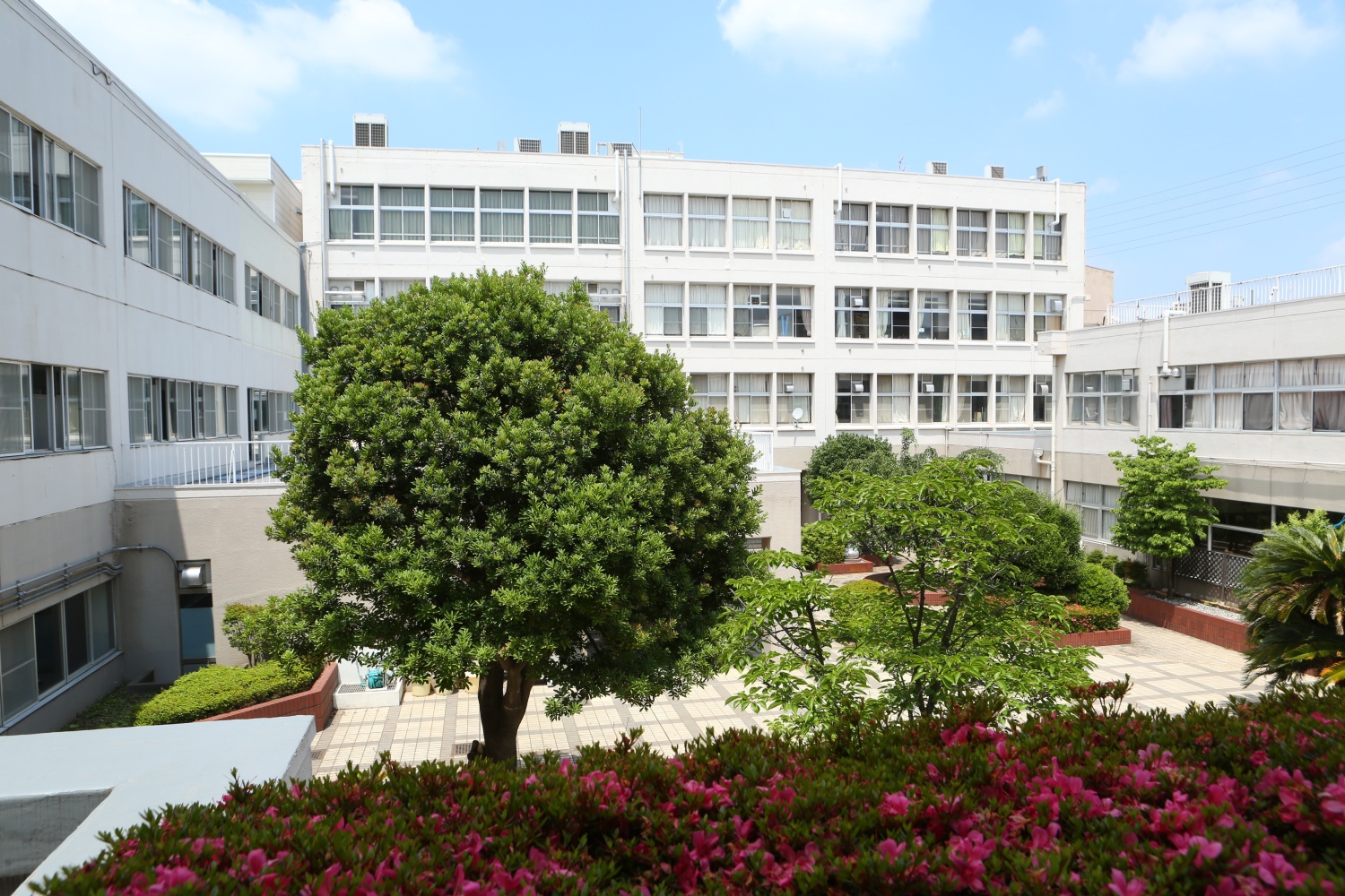 大泉桜高等学校の紹介画像_01