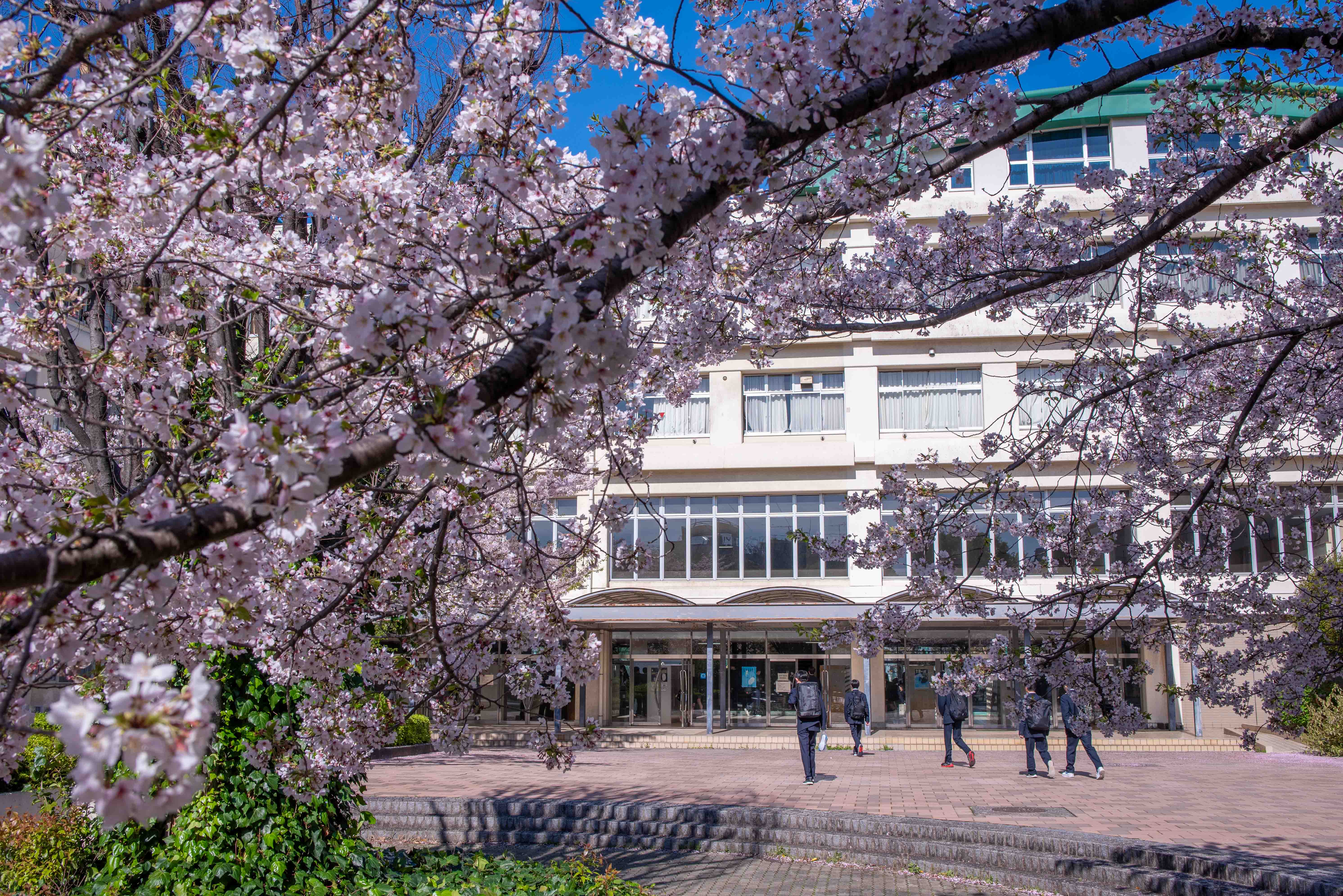 文京高等学校の紹介画像_01