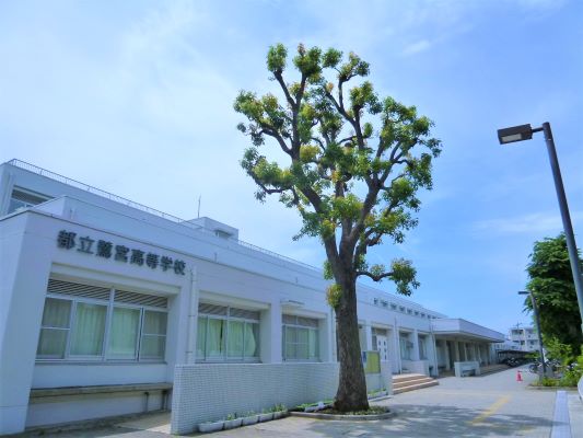 鷺宮高等学校の紹介画像_02