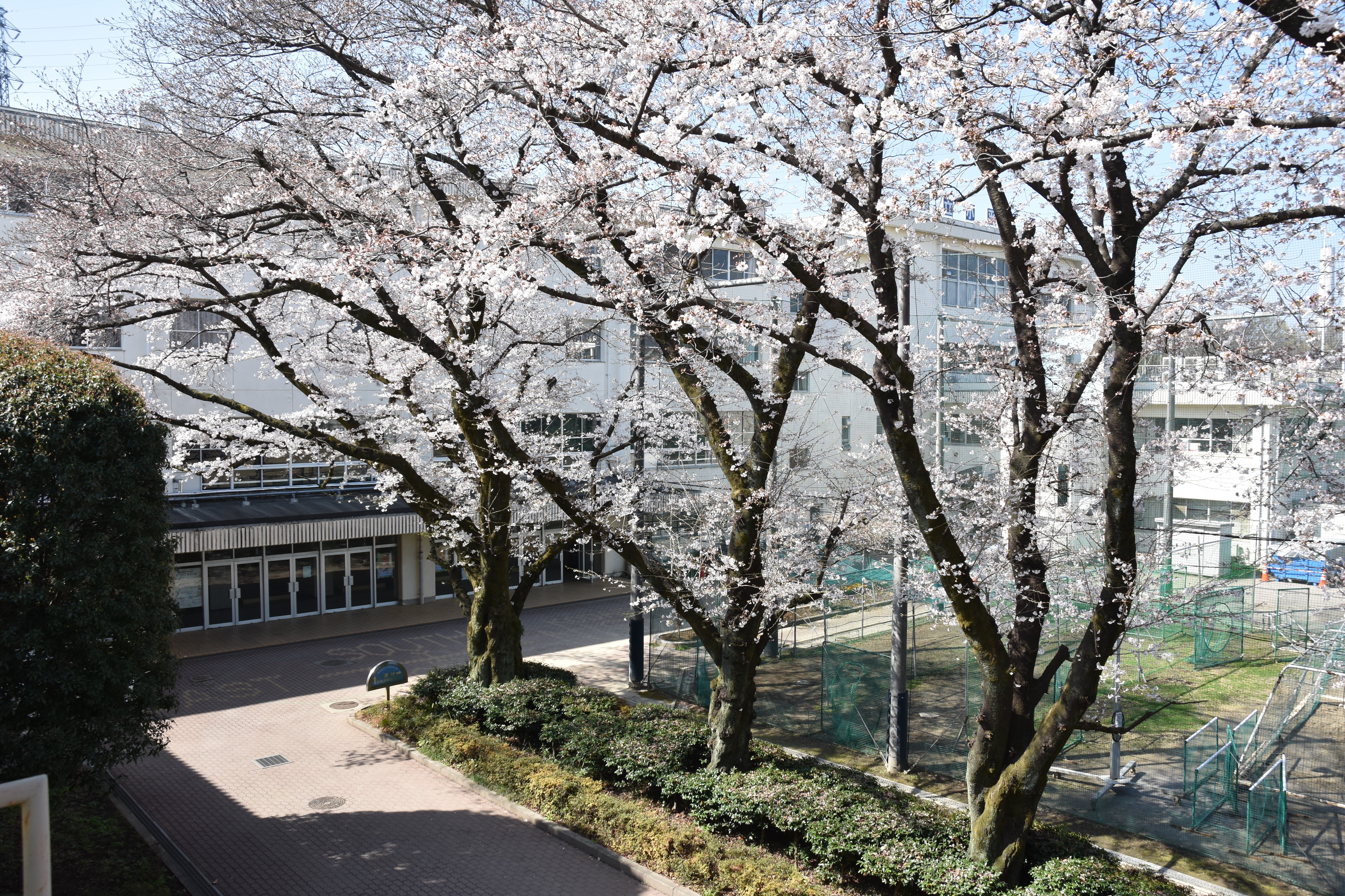 小平西高等学校の外観