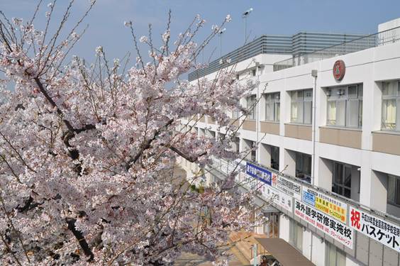 町田高等学校の外観