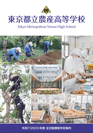  パンフレット画像　パンフレットPDFへのリンク