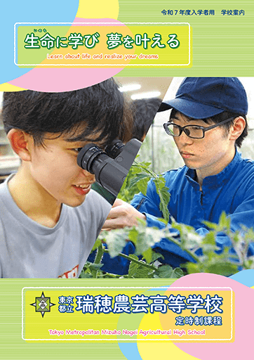  パンフレット画像　パンフレットPDFへのリンク