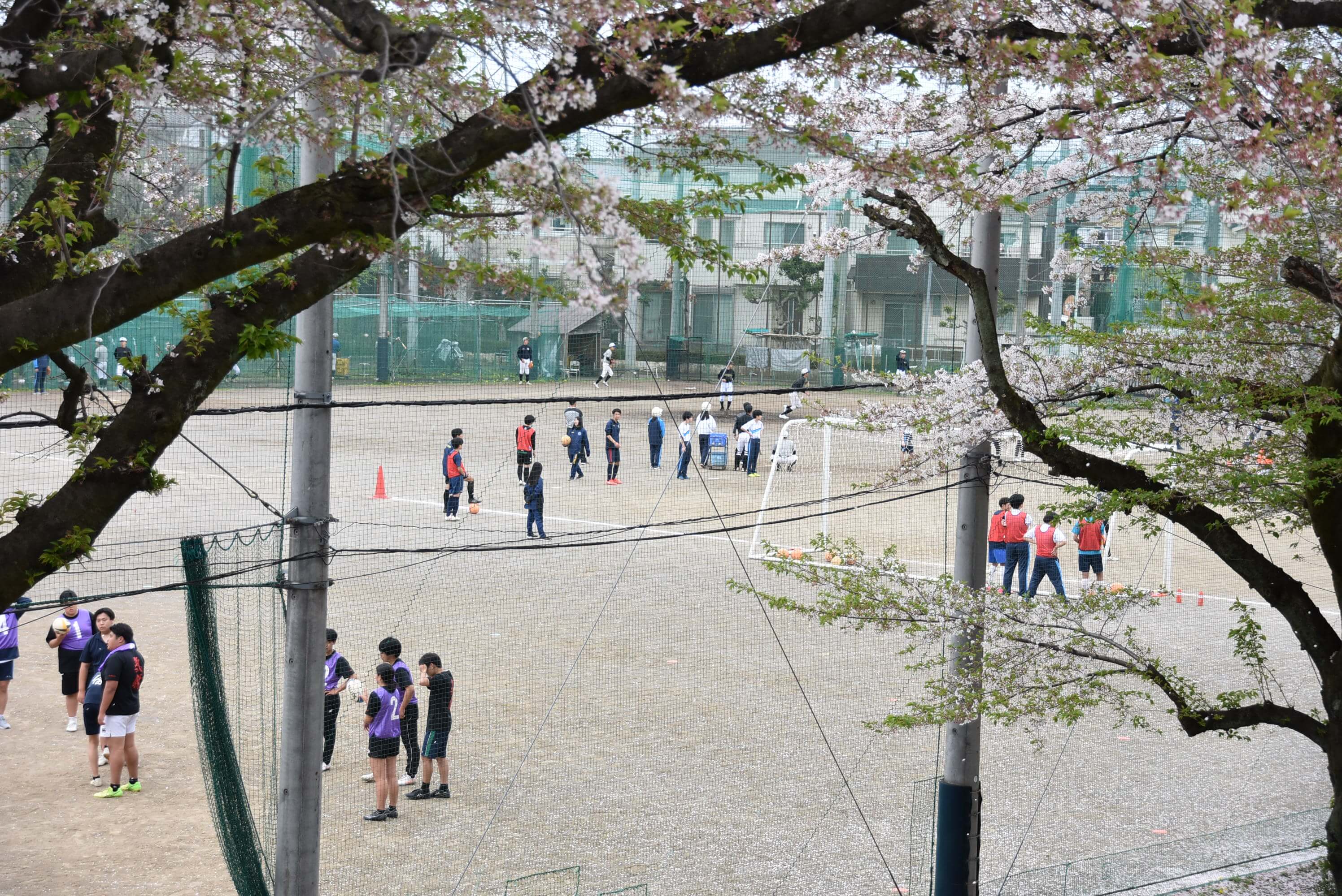 小平西高等学校の紹介画像_05
